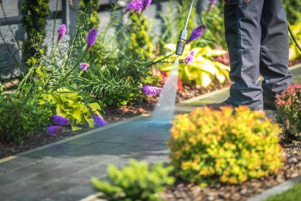 Best Fence Cleaning  in Laurel, MT