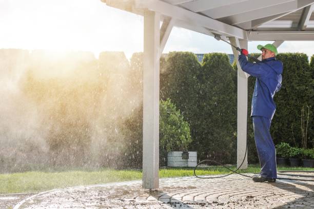 Best Solar Panel Cleaning  in Laurel, MT